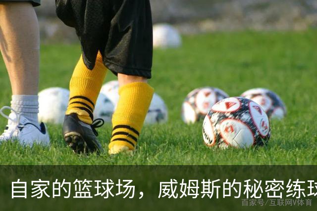 自家的篮球场，威姆斯的秘密练球时光